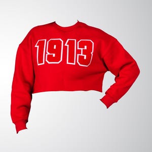 The Cropped Collegiate Long Sleeve