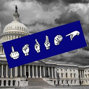 Subtle F*ck Trump Bumper Sticker, ASL Sign Language, Vote Democrat, Anti Trump, Jack Smith, Disgraced President, Decals for Cars Gift