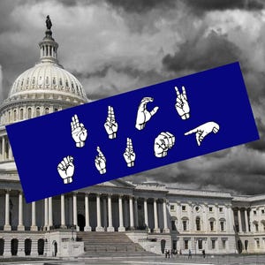 Subtle F*ck Trump Bumper Sticker, Dump 47, Sign Language, Vote Democrat, Anti Trump, Jack Smith, Disgraced President, Decals for Cars