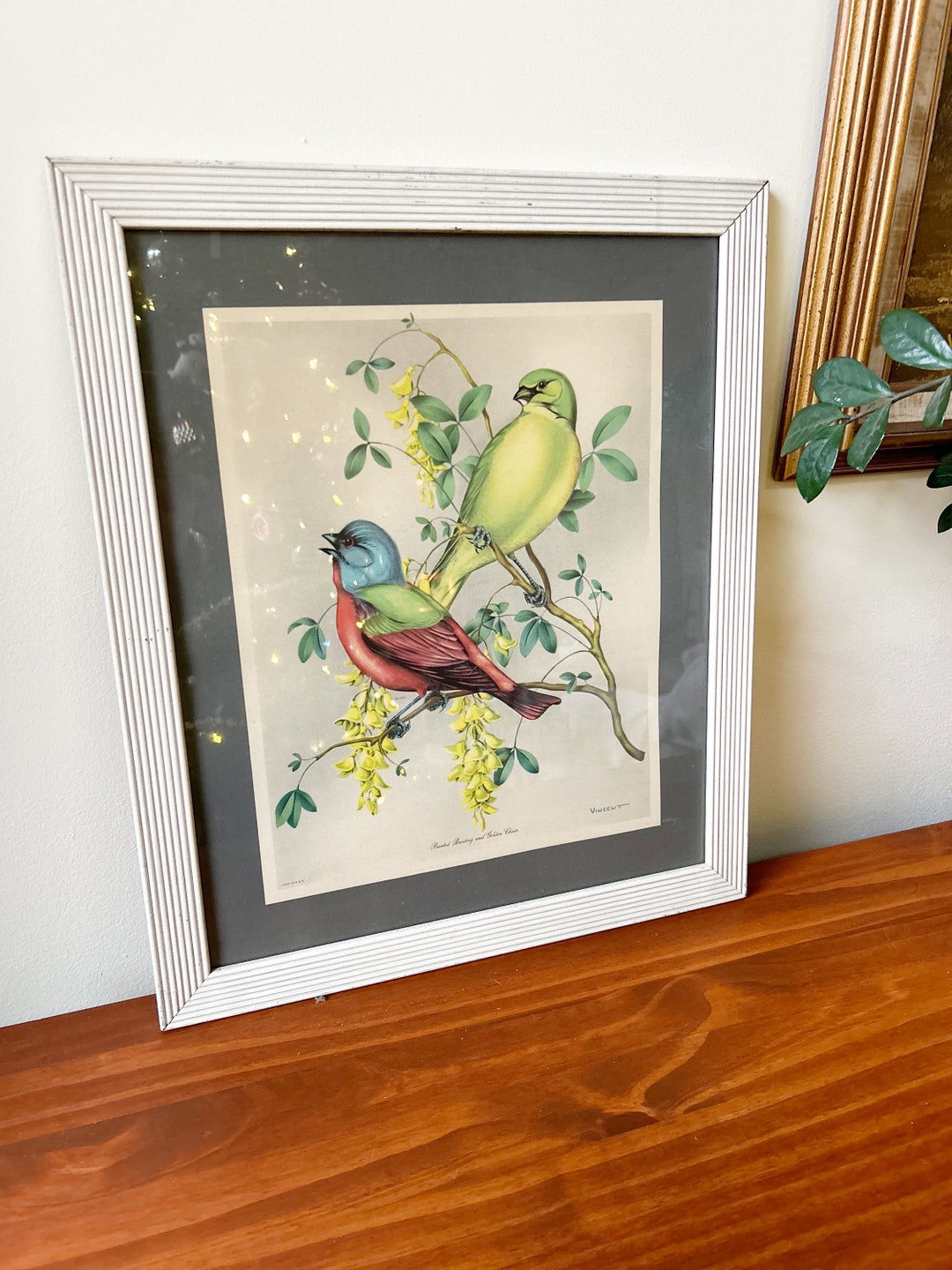 Vintage Framed Bird Wall Print Decor Etsy