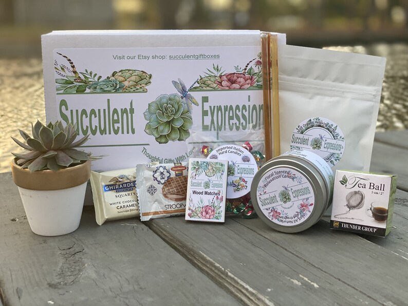 Sympathy Gift Pet Loss Succulent Gift Box Etsy