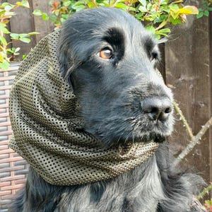 以下が含まれることがあります： 首と頭にオリーブグリーンのメッシュスヌードを巻いた黒い長毛の犬。スヌードは細かい穴の開いた質感で耳と首周りを覆っており、犬は黒い毛並みと横を向いた茶色の目をしています。