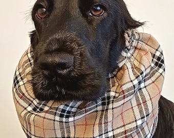 May include: Black dog wearing a tan, black, and white plaid scarf. The scarf is tied around the dog's neck.
