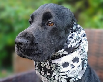 May include: A black dog wearing a fabric neck gaiter featuring a repeating pattern of white skulls, grey roses, and green leaves. The accessory is worn snugly around the neck, displaying a detailed botanical and skeletal graphic print design.