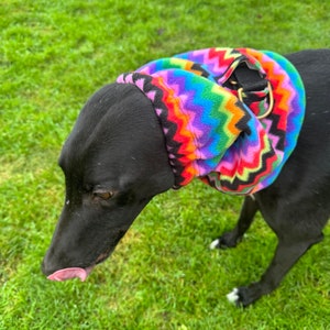 May include: A black dog with a vibrant, patterned neck warmer. The neck warmer has a zig-zag design in rainbow colours, including purple, green, orange, and red. The dog is on a green grassy surface.