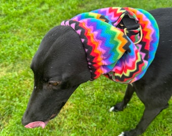 May include: A black dog wearing a colorful, patterned neck warmer. The neck warmer features a zig-zag design in a rainbow of colors, including purple, green, orange, and red. The dog is on a green grassy surface.