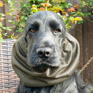 以下が含まれることがあります： 茶色の目をしたダークグレーの犬が、質感のあるオリーブグリーンのメッシュスヌードを首に巻いています。生地全体に小さな六角形の模様が繰り返されており、動物の頭と首の周りに層状でギャザーの寄った外観を作り出しています。