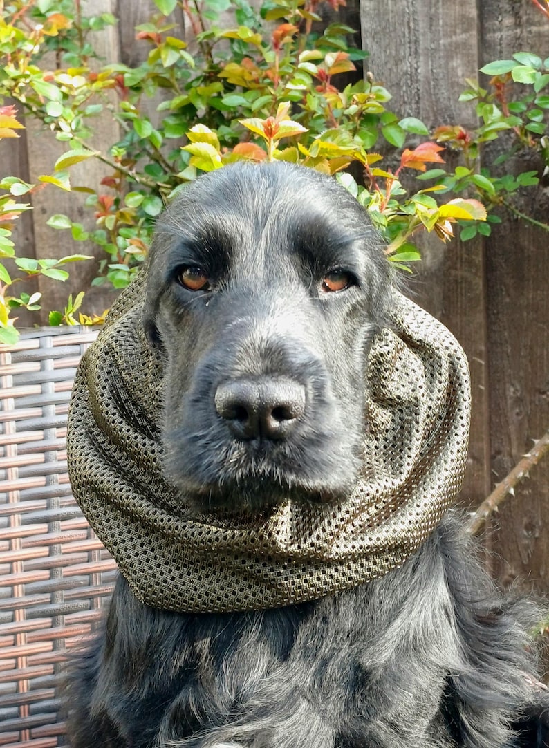 以下が含まれることがあります： 茶色の目をしたダークグレーの犬が、質感のあるオリーブグリーンのメッシュスヌードを首に巻いています。生地全体に小さな六角形の模様が繰り返されており、動物の頭と首の周りに層状でギャザーの寄った外観を作り出しています。