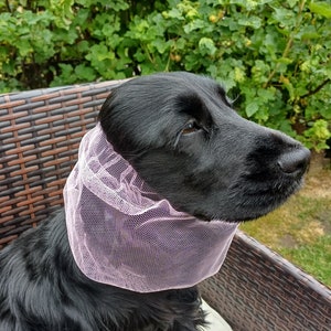 Redgranate snood para cocker spaniel, cocker spaniel snood, spaniel snood, perro snood, nett snood, capucha para perros, snood de verano lilac