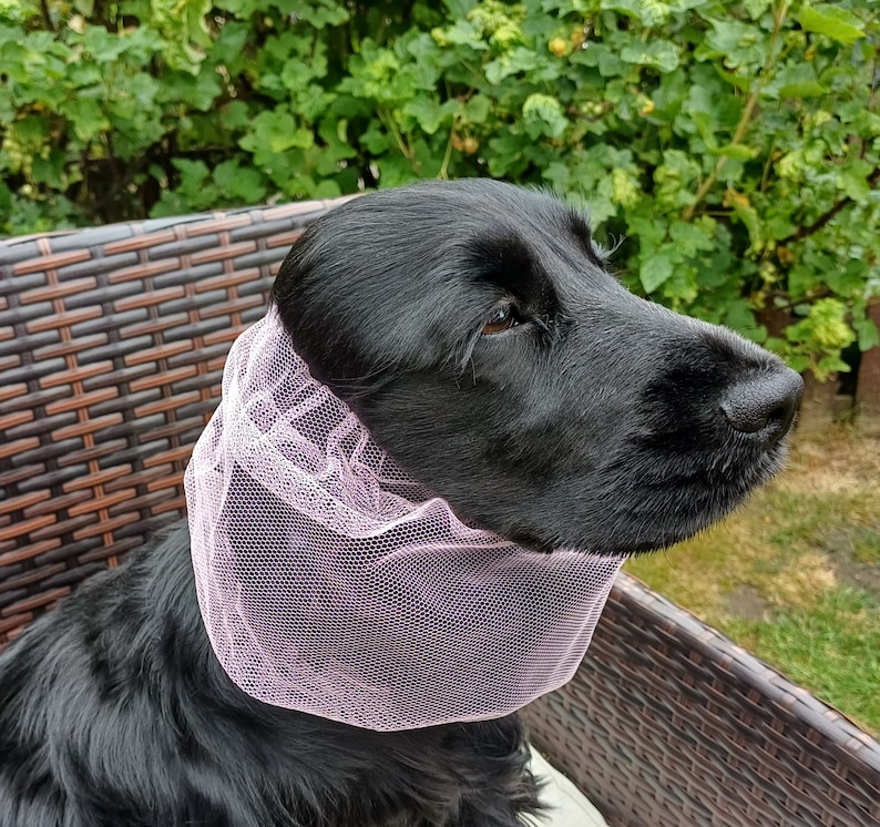 Redgranate snood para cocker spaniel, cocker spaniel snood, spaniel snood, perro snood, nett snood, capucha para perros, snood de verano lilac