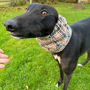 Snood for greyhound, dog snood, Redgranate, warm neck, neck cover,whippet snood,