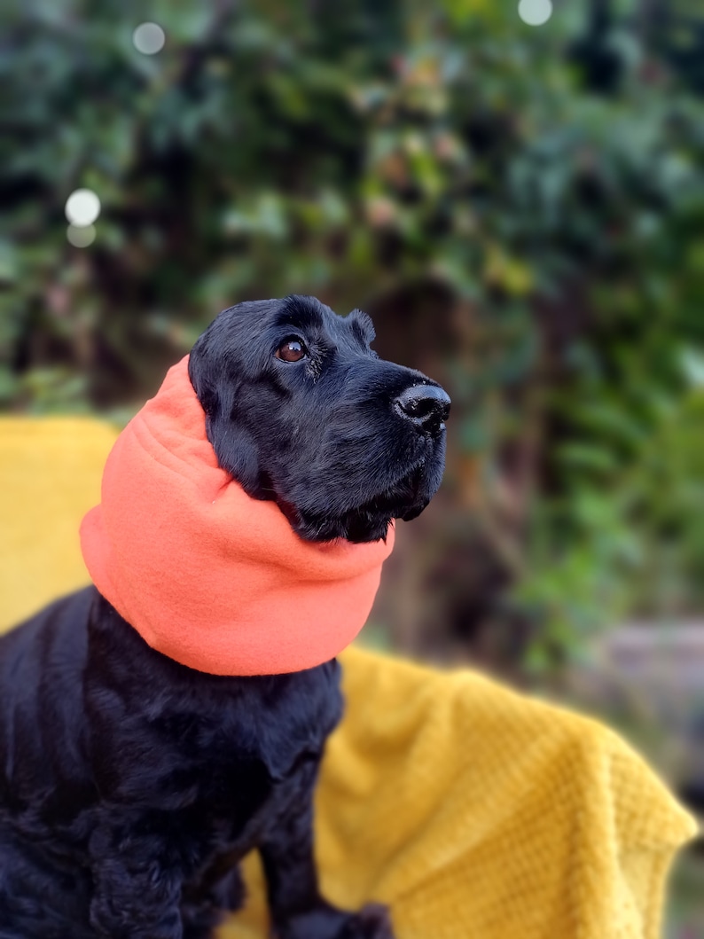 snood for cocker spaniel, Redgranate,dog snood,fleece snood,cocker spaniel winter coat, winter snood for dog, winter snood. Orange