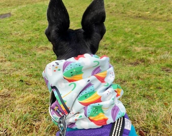 May include: A black dog wearing a blue fleece jacket with a colorful umbrella print neck warmer and a black harness with reflective strips.