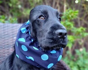 Snood for cocker spaniel, Polka Dot Snood for Dogs , Redgranate