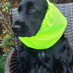 以下が含まれることがあります： 首に明るいネオンイエローのメッシュスヌードを巻いた黒い犬。スヌードは軽量で通気性のある穴あき生地で作られており、犬の首にぴったりとフィットし、暗い毛色に対して高い視認性を備えたアクセサリーとして機能しています。