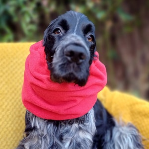 snood for cocker spaniel, Redgranate,dog snood,fleece snood,cocker spaniel winter coat, winter snood for dog, winter snood. Red