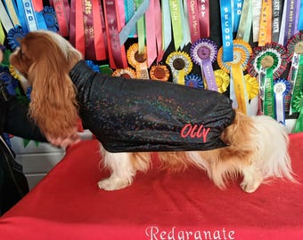 May include: A black dog coat with a subtle iridescent shimmer and the name Olly embroidered in red thread on the side. The garment is worn by a long-haired Cavalier King Charles Spaniel with white and brown fur, standing on a red surface.