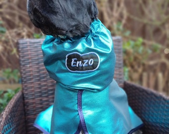 May include: A black and white dog wearing a turquoise blue hooded dog coat with a black embroidered name tag that says "Enzo".