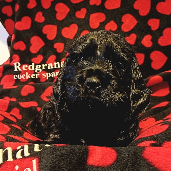 Personalised embroidered dog, puppy, cat, kitten blanket. Name Print Blanket, Redgranate, Fleece Blanket,