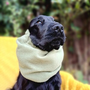 snood for cocker spaniel, Redgranate,dog snood,fleece snood,cocker spaniel winter coat, winter snood for dog, winter snood. Green