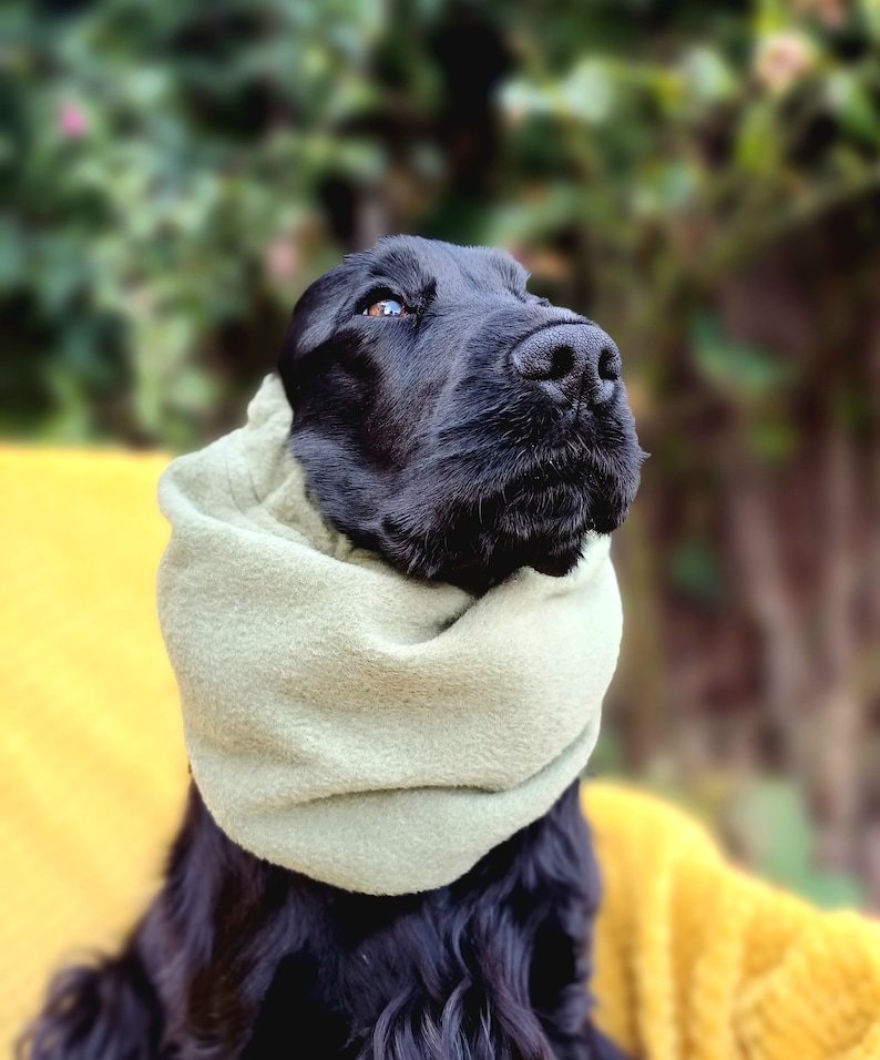 snood for cocker spaniel, Redgranate,dog snood,fleece snood,cocker spaniel winter coat, winter snood for dog, winter snood. Green