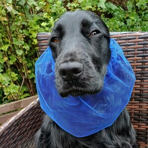 Redgranate snood for cocker spaniel, cocker spaniel snood, spaniel snood, dog snood, nett snood, dog hood, summer snood