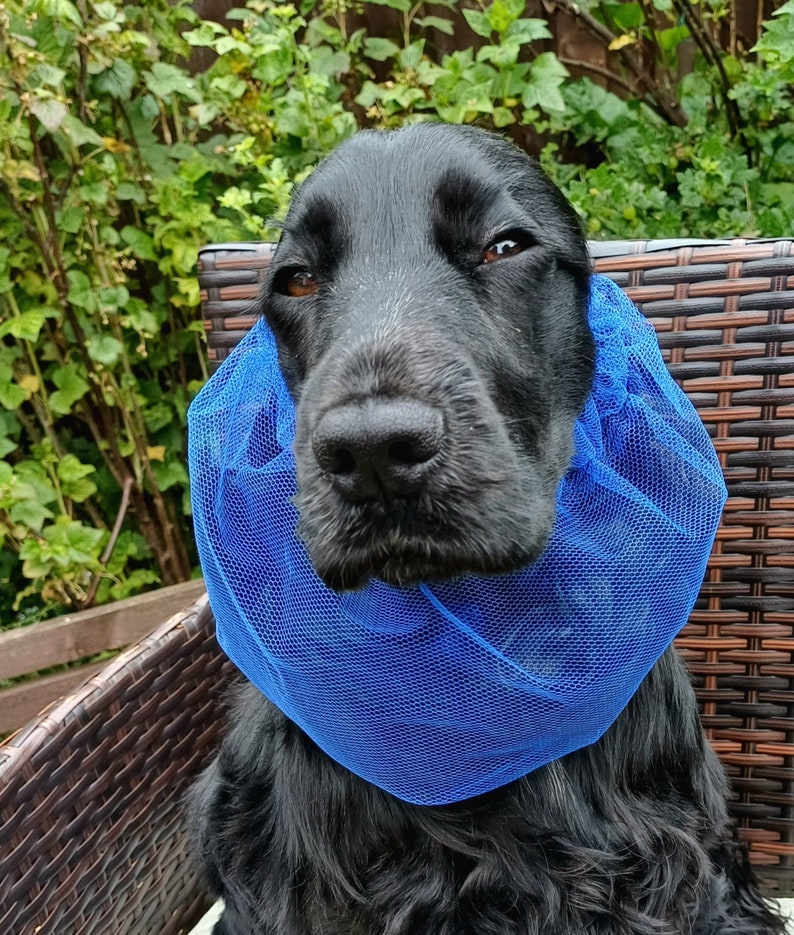 Redgranate snood for cocker spaniel, cocker spaniel snood, spaniel snood, dog snood, nett snood, dog hood, summer snood Blue