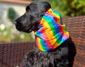 Rainbow cotton snood, ear protector for long ears dog cocker spaniel. Dog snood, dog snood spaniel, raw food ears protection.