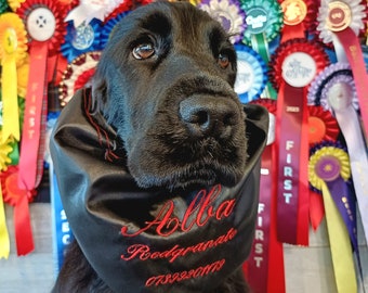 Personalized snood for dog, Embroidered snood for cocker spaniel, Redgranate, cocker spaniel snood, dog snood, spaniel snood.