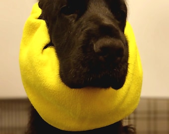May include: A black dog wearing a bright yellow cone around its head. The cone is made of soft fabric and has a rounded shape.