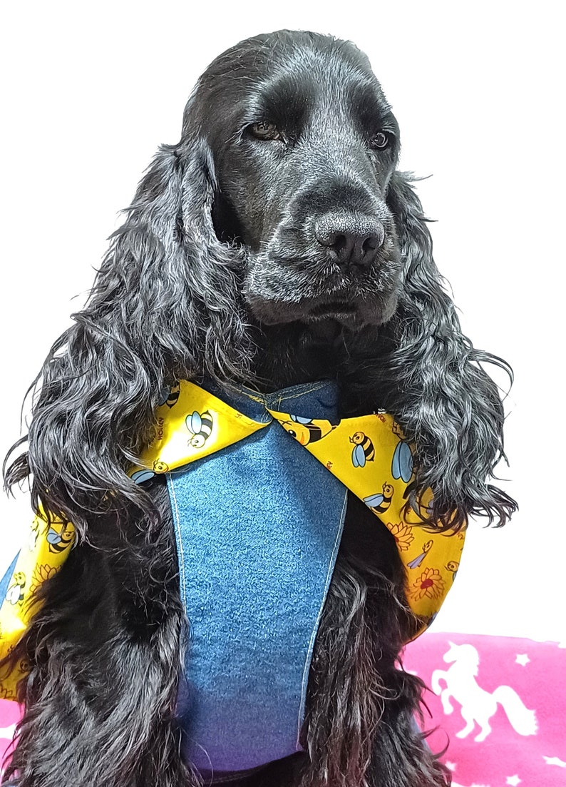 Coat for Cocker Spaniels,double Sided Jacket, Summer Denim Jacket ...