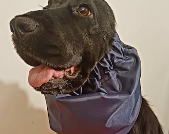 May include: A black dog wearing a blue post-surgical recovery collar. The collar is made of a soft, padded material and has a wide opening for the dog's head.