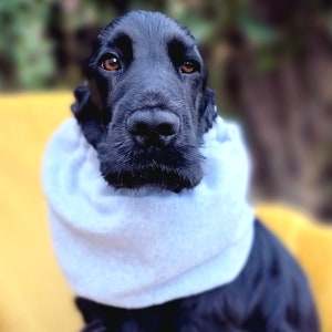 snood for cocker spaniel, Redgranate,dog snood,fleece snood,cocker spaniel winter coat, winter snood for dog, winter snood. Gray