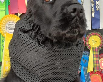 Airtex Dog Snood: Breathable Cocker Spaniel Snood, Handmade in Scotland