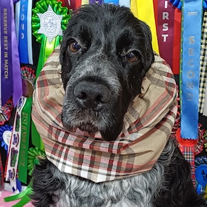 Wasserdichte Snoods für Cocker Spaniels, Beige Tartan, Redgranate