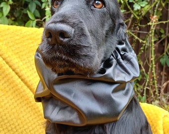 Waterproof Dog Snood for Long Ears, Cocker Spaniel