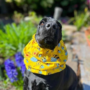 Bienen Snood für Hunde