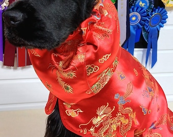 May include: A black Cocker Spaniel dog wearing a red satin robe with gold dragon embroidery. The robe has a hood and is trimmed with gold.