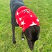 see more listings in the Greyhound snood section