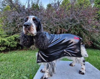 Stretch Show Coat for Springer Spaniel, Welsh Spaniel, Redgranate, Custom Made in Scotland