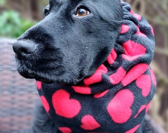 May include: Black dog wearing a black and red fleece neck warmer with a heart pattern. The dog is looking to the right.