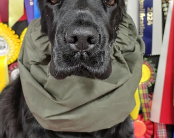 Snood encerado impermeable para cocker spaniel, color granada