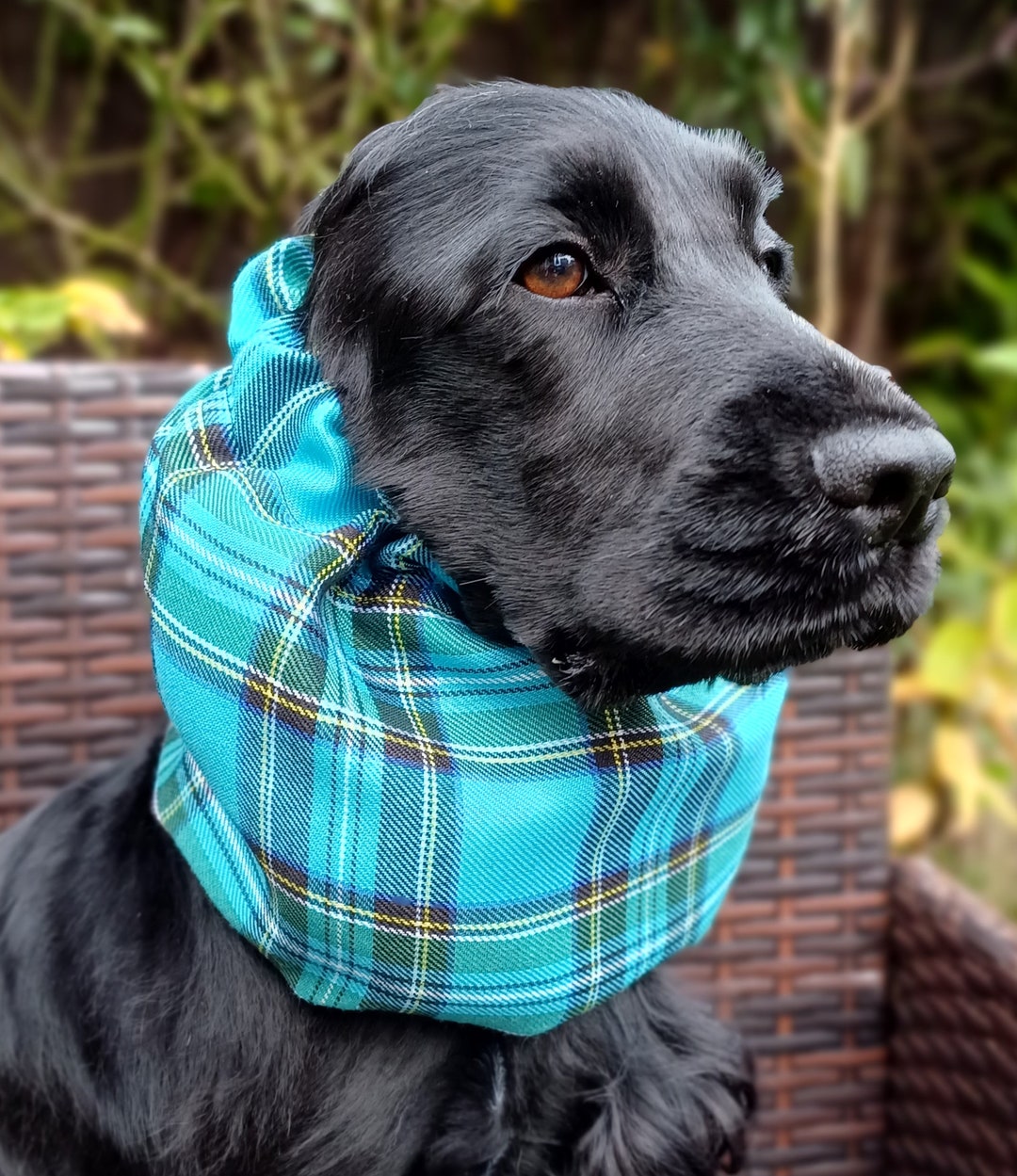 Redgranate Snoods for Cocker Spaniels Tartan Snood Dog Etsy UK