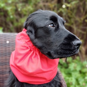 Snood for cocker spaniel, Redgranate, dog snood, summer cotton snood, breathable fabric