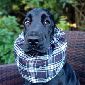 Redgranate snoods for cocker spaniels, tartan snood, dog snood, cocker spaniels snood, neck protector, spaniel ears cover