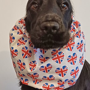May include: A black dog wearing a white fabric cone with a red, white, and blue heart pattern. The hearts have the Union Jack flag design.