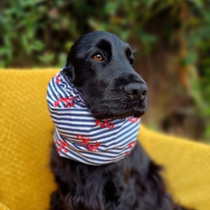 Seaside Inspired Dog Snood