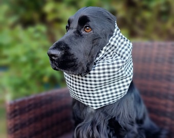 May include: A black cocker spaniel wearing a black and white gingham dog bandana. The dog is sitting on a brown wicker chair.