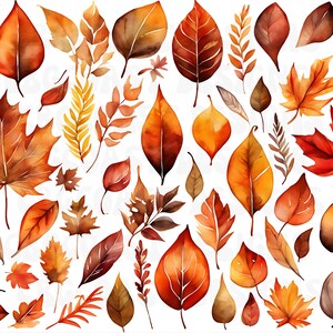 May include: A collection of watercolour-style autumn leaves in various shapes and sizes, featuring a warm colour palette of orange, red, yellow, and brown. The assortment includes maple, oak, and fern-like foliage scattered across a white background.