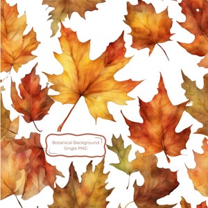 May include: A pattern of watercolour autumn leaves in shades of orange, yellow, red, and brown. A rectangular label with rounded corners is centred, containing the text Botanical Background Single PNG in a simple, dark brown sans-serif font.